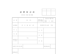 상병보고서 상병보고서